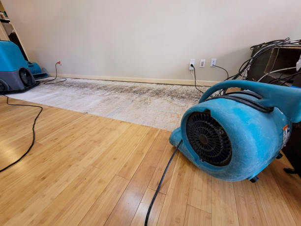 Professional Basement Flood Cleanup technician working in Mammoth, WV